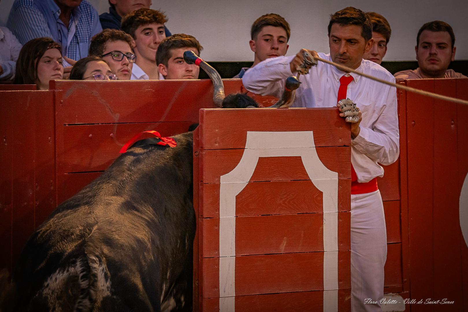 Concours landais (7).jpg