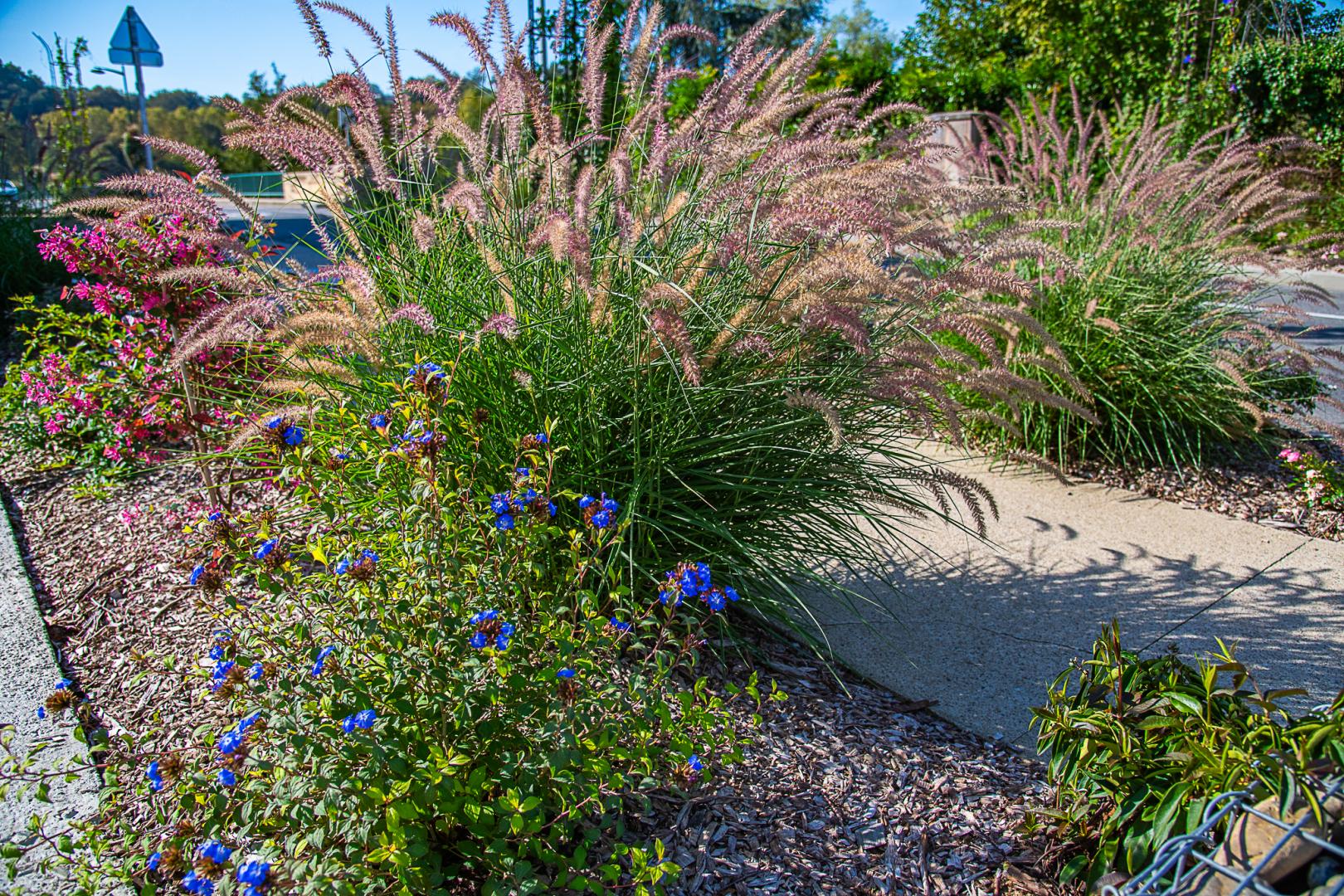 DE GAULLE PÉRÉ.jpg