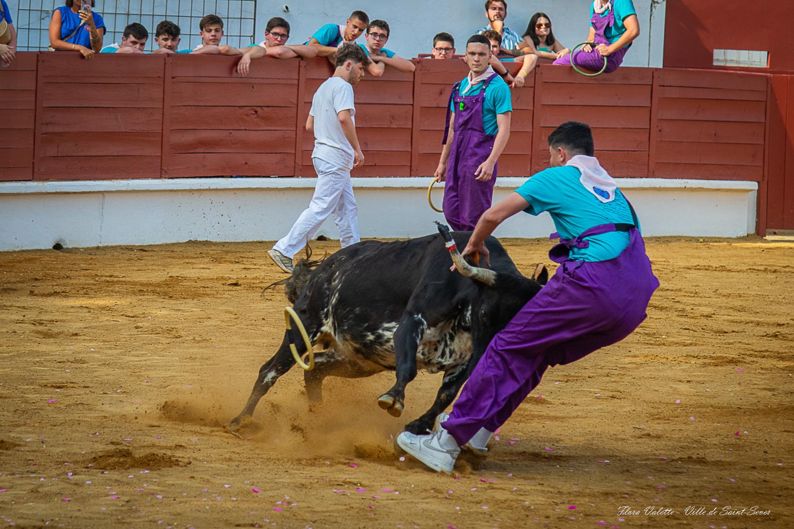 Course des cuisinières (9).jpg