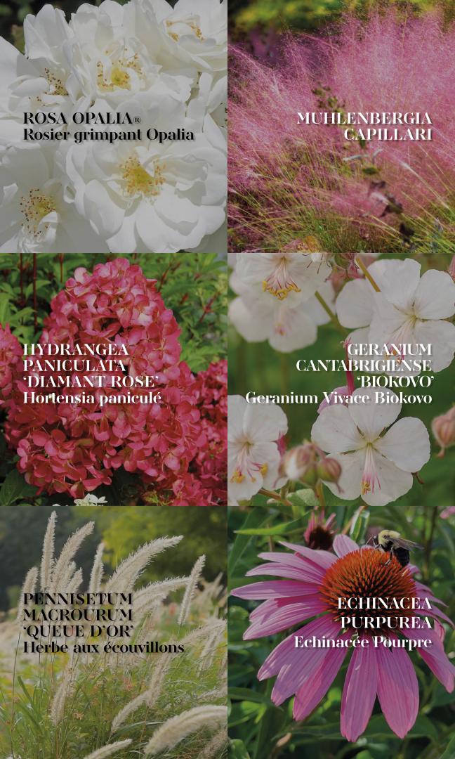 Panneau 8 palette végétale.jpg