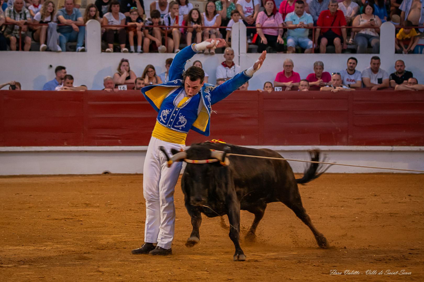 Concours landais (3).jpg